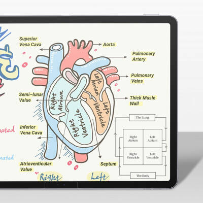 Apple iPad Pro 11 2024 Kağıt Hisli Benks Mat Paper-Like Ekran Koruyucu - 8