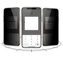 Apple iPhone 11 Pro Davin 5D Privacy Cam Ekran Koruyucu - 3