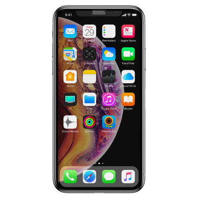 Apple iPhone 11 Pro Max Zore Anti-Dust Privacy Temperli Ekran Koruyucu - 7