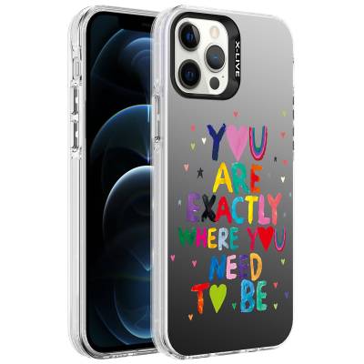 Apple iPhone 12 Pro Case Patterned Zore Silver Hard Cover - 8