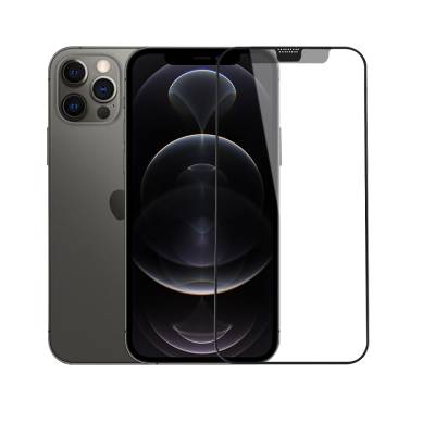 Apple iPhone 12 Pro Max Wiwu iVista Screen Matte Ultra Güçlü Temperli Mat Ekran Koruyucu - 1