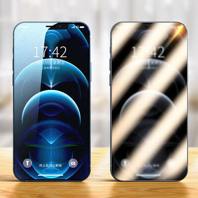 Apple iPhone 12 Pro Max Zore Rica Premium Privacy Tempered Glass Screen Protector - 12