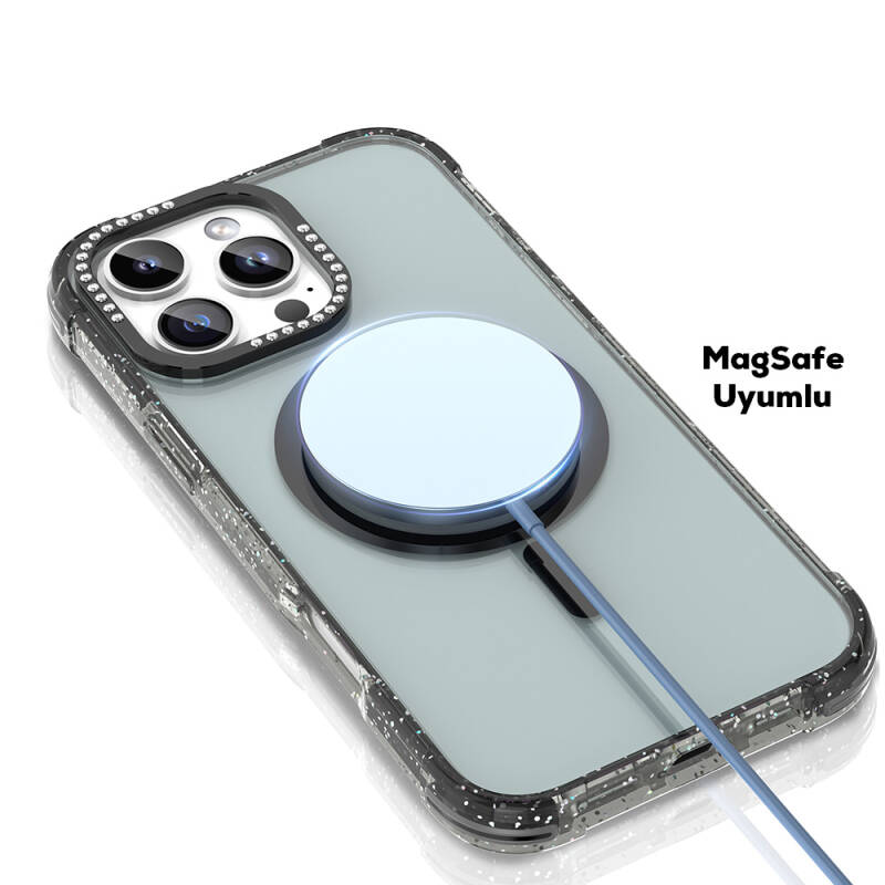 Apple iPhone 16 Pro Case Magsafe Charging Featured Stone and Silvery Design Mutural Blink Cover - 3