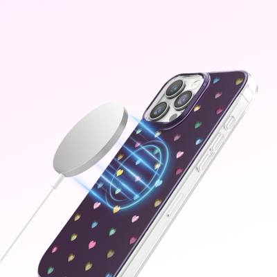 Apple iPhone 16 Pro Max Kılıf M-Safe Şarj Özellikli Zore Paris Axen Sert PC Kapak - 14