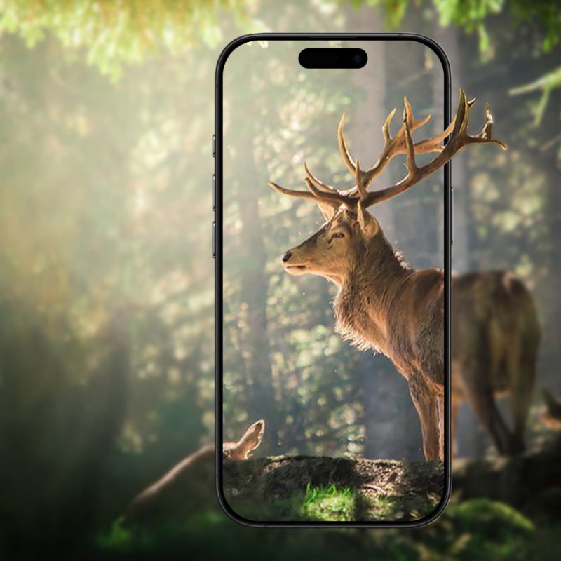 Apple iPhone 17 Air Zore Mikro Kamera Lens Koruyucu - 22