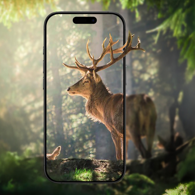 Apple iPhone 17 Zore Mikro Camera Lens Protector - 26