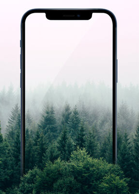 Apple iPhone 17E Wiwu iPrivacy HD Anti-Peep Ekran Koruyucu - 11