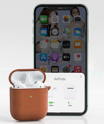 Apple Airpods Pro Case Wiwu Calfskin Case - 3
