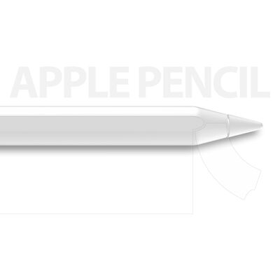 Apple Pencil Araree Pure Clear Dokunmatik Kalem Yüzey Koruyucu - 3