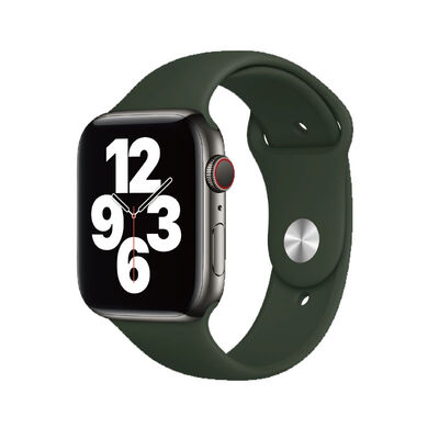 Apple Watch 42mm Wiwu Sport Band Silikon Kordon - 9