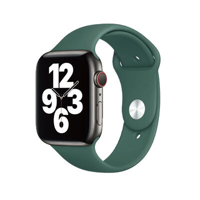Apple Watch 42mm Wiwu Sport Band Silikon Kordon - 5
