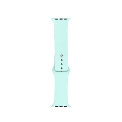 Apple Watch 7 41mm Band Series Classic Band Silicone Strap Strap - 17