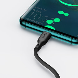 Benks D35 Type-C Fast Charging Usb Cable 1.8M - 3