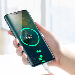 Benks D35 Type-C Fast Charging Usb Cable 0.25m - 2