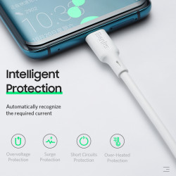 Benks D36 Type-C Fast Charging Usb Cable 1.2M - 5