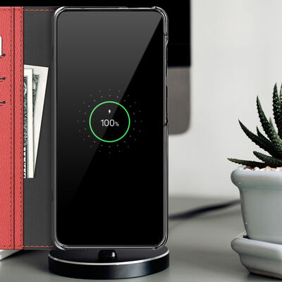 Galaxy Note 20 Kılıf Araree Mustang Diary Kılıf - 18