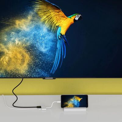 Go Des GD-7565 Lightning Digital TV Adapter - 2