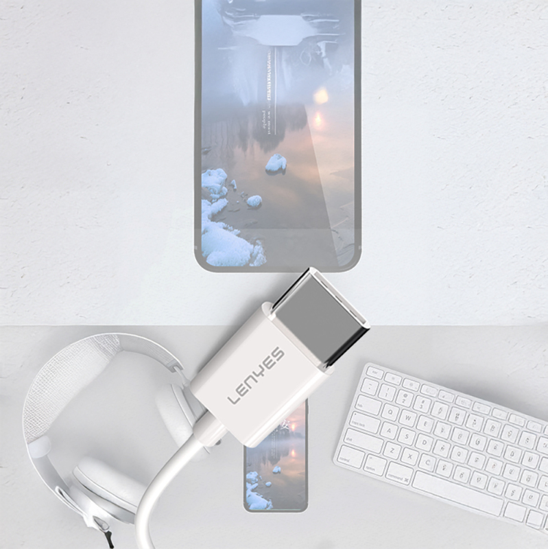 Lenyes AX91 Type-C to 3.5mm Hi-Fi Aux Çevirici Ses Adaptörü - 4