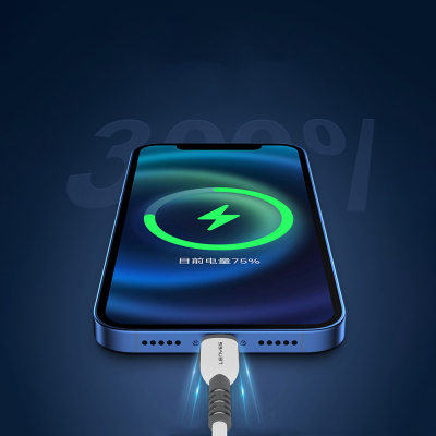 Lenyes LC979 USB-A to Lightning Hızlı Şarj Özellikli Data ve Şarj Kablosu 2.4A 1M - 5