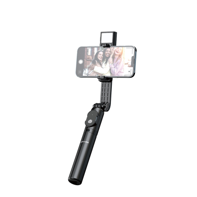 Lenyes LPH101 Canlı Yayın Dolgu Işıklı Tripod ve Selfie Çubuğu - 1