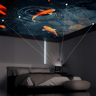 Lenyes LPR02 4.45” LCD 360 Derece Dönebilen Otomatik Netleme Özellikli Projektör Yansıtma Cihazı - 12