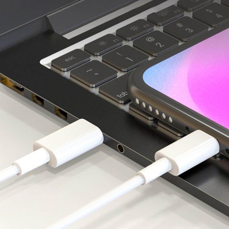 Micflip A01 Type-C to Type-C PD Data ve Şarj Kablosu 1.2M - 2