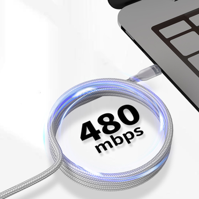 Micflip A25 Type-C to Type-C PD Fast Charging Data and Charging Cable 240W 2M - 2