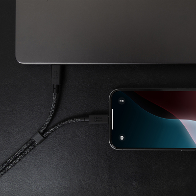 Native Union Belt Series PD 2-in-1 Type-C to Type-C Fast Charging and Data Cable 140W 2M - 12