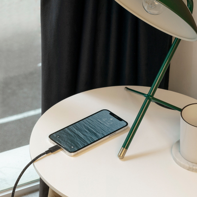 Native Union Belt Series Type-C to Lightning Charging Cable 3M - 8