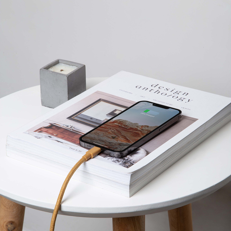 Native Union Belt Series Type-C to Lightning Charging Cable 3M - 7