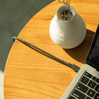 Native Union Belt Series Type-C to Type-C Charging Cable 3M - 7