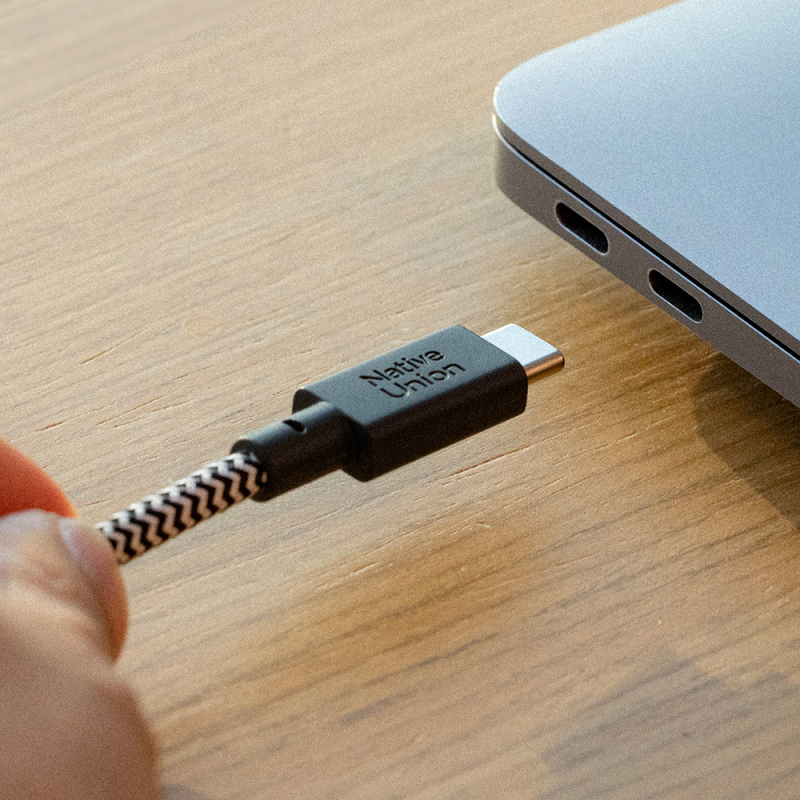 Native Union Belt Series Type-C to Type-C Charging Cable 3M - 11