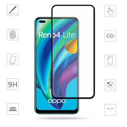 Oppo Reno 4 Lite Davin Seramic Screen Protector - 4