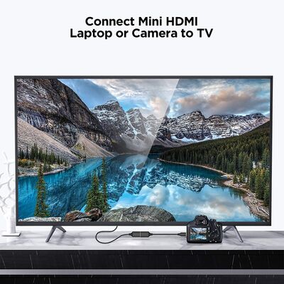 Qgeem QG-HD20 Mini HDMI Cable - 4