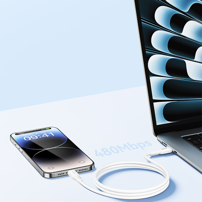 Recci RS52CC Type-C to Type-C PD Fast Charging Data and Charging Cable 65W 1M - 5