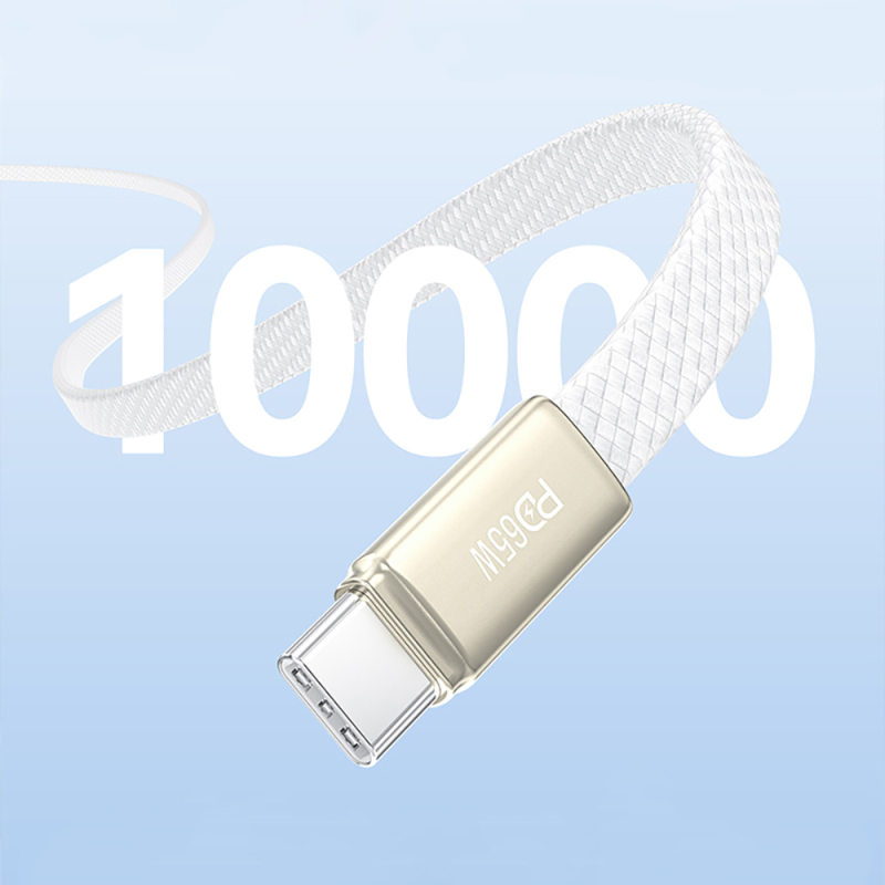 Recci RS55CC Type-C to Type-C PD Hızlı Şarj Özellikli Data ve Şarj Kablosu 65W 1M - 9