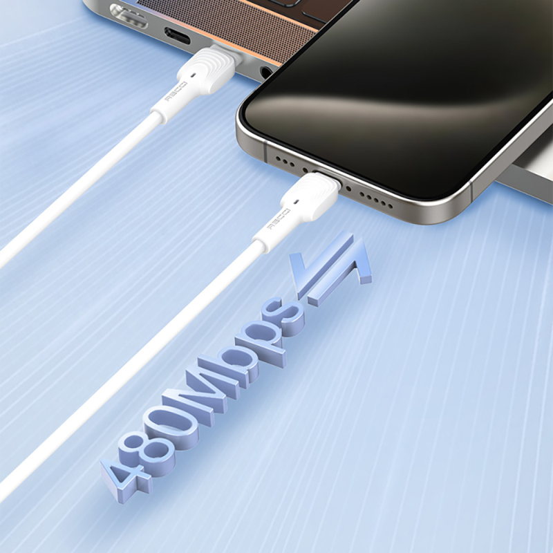 Recci RTC- N26CC Type-C to Type-C PD Hızlı Şarj Özellikli Data ve Şarj Kablosu 60W 1M - 6