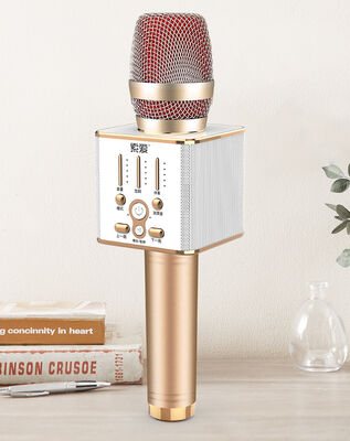 Soaiy MC1 Karaoke Microphone - 2
