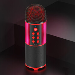 Soaiy MC12 Karaoke Microphone - 3