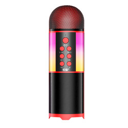 Soaiy MC12 Karaoke Mikrofon - 10