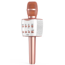 Soaiy MC7 Karaoke Microphone - 12