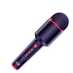 Soaiy MC8 Karaoke Microphone - 5