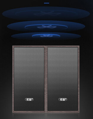 Soaiy SA-A5 Usb Speaker - 13