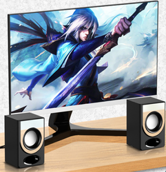 Soaiy SA-C10 Usb Speaker - 12