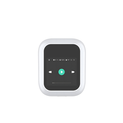 Wiwu Airbuds T24 Dokunmatik LCD Ekranlı TWS Bluetooth Kulaklık v5.4 - 6