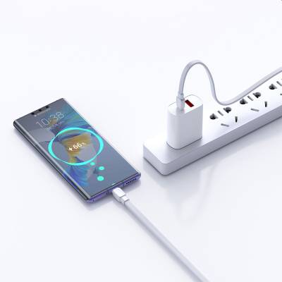 Wiwu Bravo WI-C004 Flat Design 60W Fast Charging Type-C to Type-C PD Cable 1M - 12