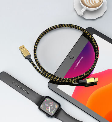 Wiwu Golden Series GD-101 Type-C Data Cable 3M - 2