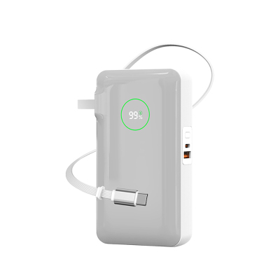 Wiwu Wi-P049 Noble Serisi Type-C Kablolu Dijital LED Göstergeli Powerbank PD 35W 10000mAh - 3