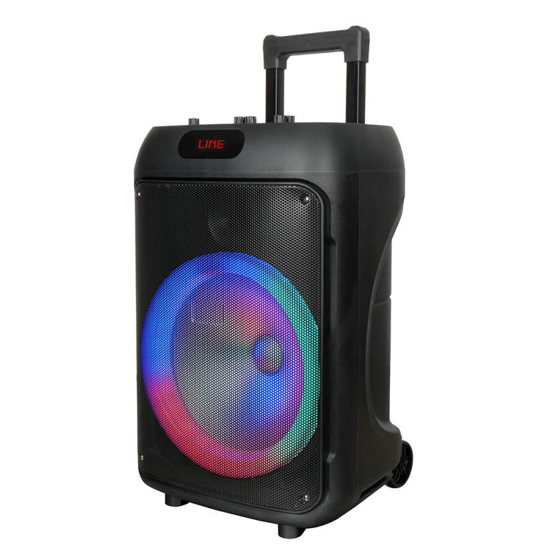 Zore GD-1203 Dijital LED Göstergeli FM Radyolu Mikrofonlu RGB TWS 12 inç Stereo Bass Kablosuz Karaoke Hoparlör - 3