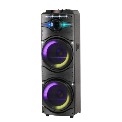 Zore GD-2016 Digital LED Indicator, FM Radio, RGB TWS with Microphone, Dual 12 inch Stereo Bass Wireless Karaoke Speaker - 8